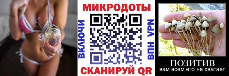 купить закладку  Дудинка  блэк спрут как зайти  Псилоцибиновые грибы Psilocybine cubensis 
